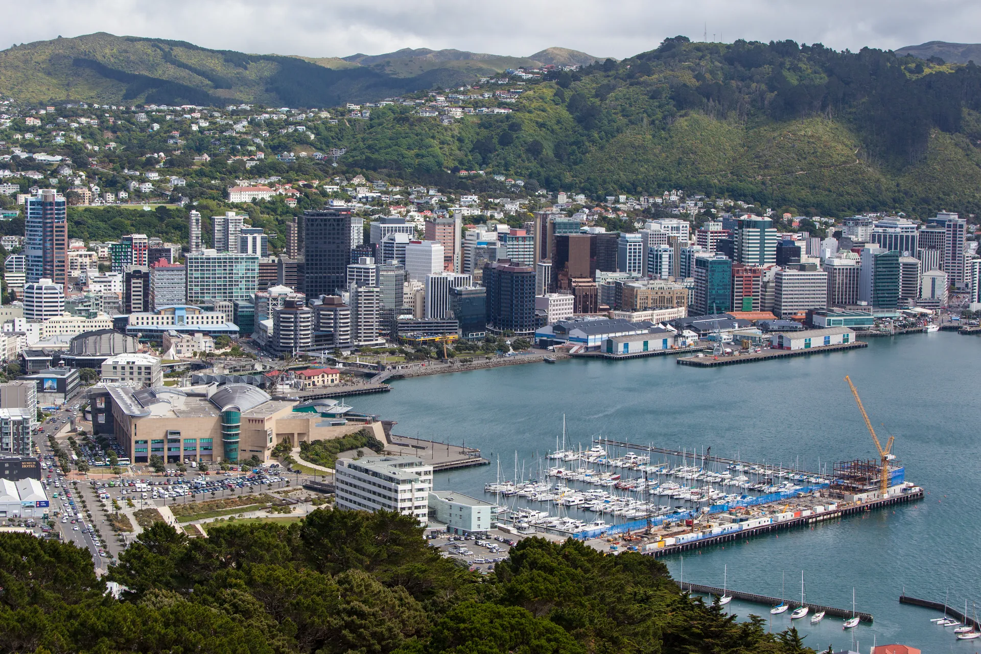 Wellington city and harbour seen from Mount Victoria