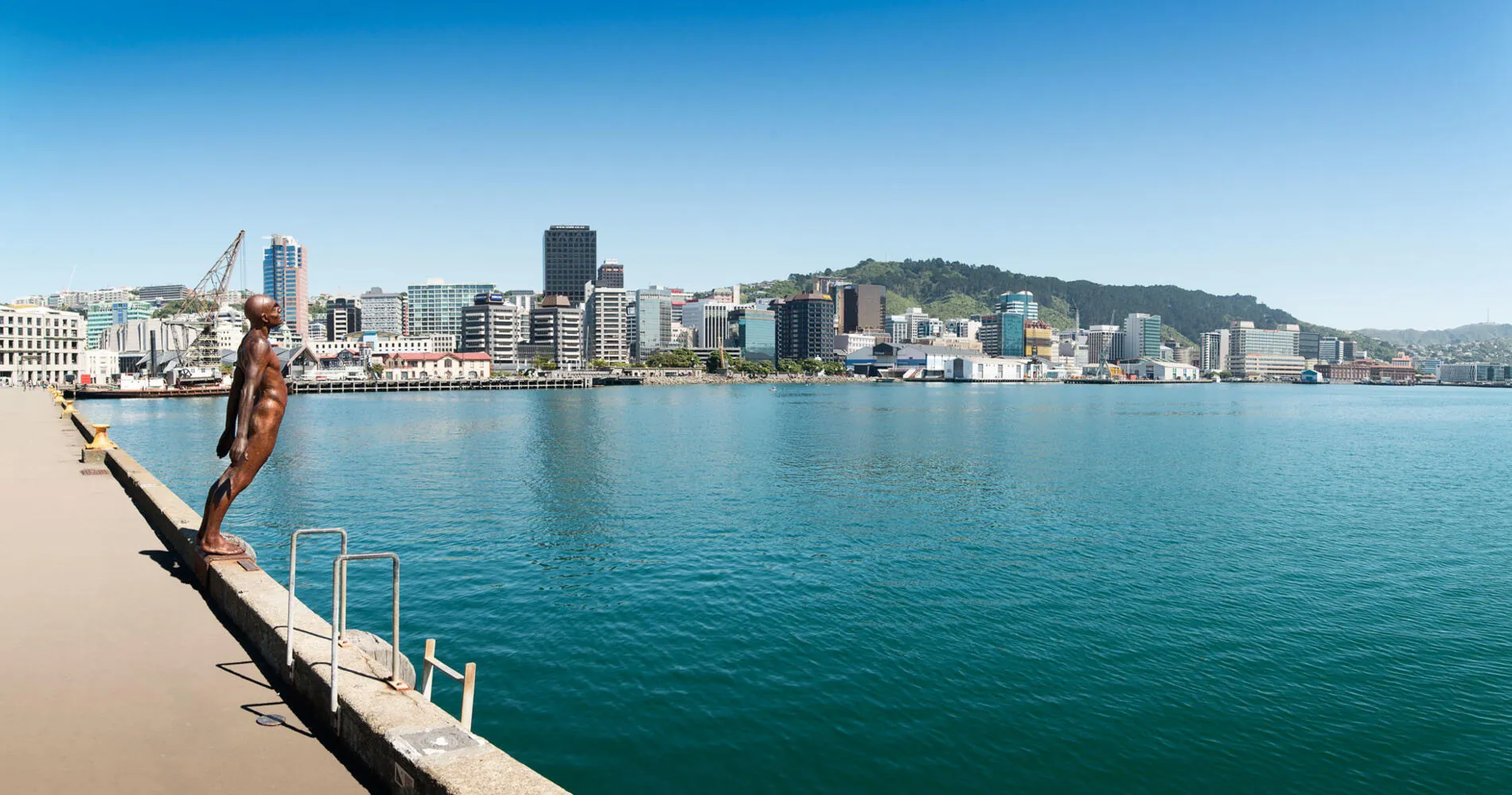 Wellington waterfront and city skyline across the blue harbour